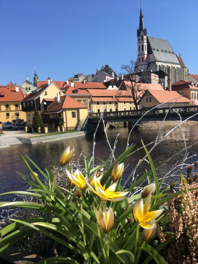 Pension Wok Český Krumlov Eksteriør billede